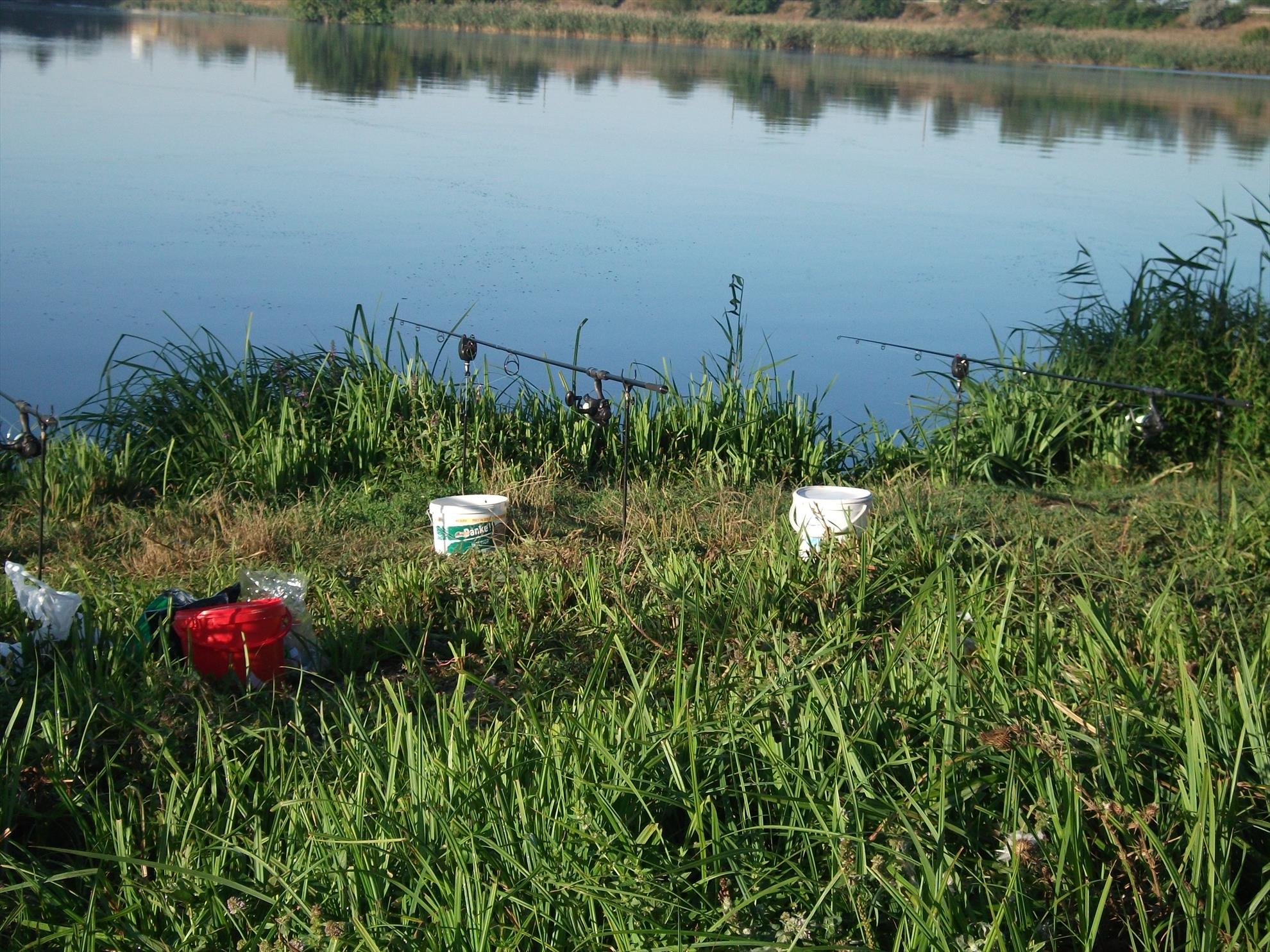 Cernica - dscf1468.jpg